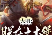 小说大明：朕在土木堡杀疯了（朱祁镇）最新章节在哪看-黄桃文学