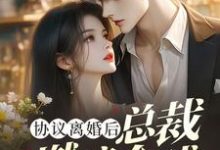 林深最新章节协议离婚后,总裁燃遍全球免费阅读-黄桃文学