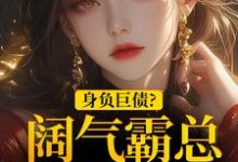 身负巨债?阔气霸总随手解决!(苏屹杉郁寒铮)最新章节在线阅读-黄桃文学
