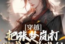 穿越：把张楚岚打造成无敌战神免费阅读(方云)小说免费读最新章节-黄桃文学