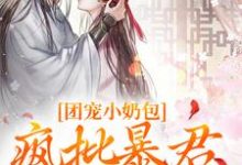 团宠小奶包，疯批暴君沉迷养崽免费阅读(萧璟月萧永乾)小说免费读最新章节-黄桃文学