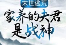 跪求主角是苏婳秦宿的小说书名叫什么-黄桃文学