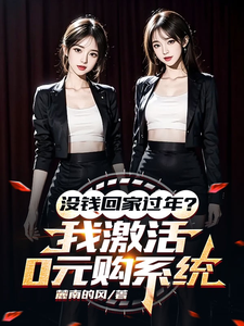 没钱回家过年？我激活0元购系统小说资源求分享，没钱回家过年？我激活0元购系统陈东林雨桐在线阅读