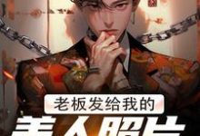 小说老板发给我的美人照片是老板娘主角林江宇免费阅读-黄桃文学