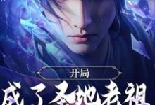 开局成了圣地老祖，我走废材流无弹窗林凡最新章节列表-黄桃文学
