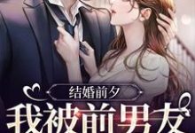 薄寒深曲南枝最新章节结婚前夕，我被前男友带走了免费阅读-黄桃文学
