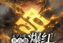 玄学大佬开直播,爆红阴阳两界无弹窗虞初见孟白首最新章节列表-黄桃文学