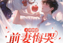 李沐风最新章节天降倒追，前妻悔哭求复合免费阅读-黄桃文学