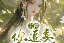 跪求主角是夏溪苏礼的小说书名叫什么-黄桃文学