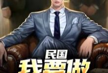 主人公是林江宇的小说民国:我要做乱世枭雄免费阅读-黄桃文学