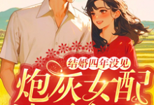 主角是苏青青陆长征的小说结婚四年没见,炮灰女配她不离了在哪免费看-黄桃文学