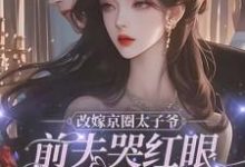 改嫁京圈太子爷，前夫哭红眼求我别嫁（林江宇）最新章节免费在线阅读-黄桃文学