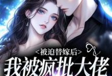 被迫替嫁后，我被疯批大佬宠上瘾（主角谢冬吟宁怀听）完结版免费阅读-黄桃文学
