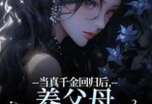当真千金回归后,养父母要我嫁农夫免费阅读(司音)小说免费读最新章节-黄桃文学