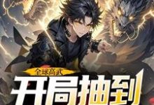 全球高武，开局抽到荒古圣体（许天）完结版免费阅读-黄桃文学