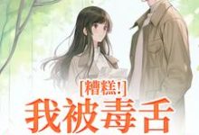 糟糕!我被毒舌霸总缠上了(迟笙沈京洲)最新章节免费阅读-黄桃文学