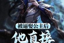 小说被逼娶公主后，他直接坐了皇位（王修苏晚晴）最新章节在哪看-黄桃文学