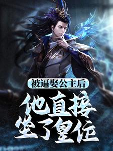 小说被逼娶公主后，他直接坐了皇位（王修苏晚晴）最新章节在哪看
