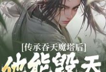 传承吞天魔塔后，他能毁天灭地！无弹窗陈凡叶红莲最新章节列表-黄桃文学