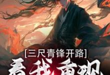 三尺青锋开路,看我重现家族荣耀(叶凌天武明月)最新章节免费阅读-黄桃文学