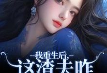 我重生后，这渣夫咋还换人格了热门小说(林菀宁)在线阅读无弹窗-黄桃文学