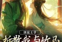 求助这本匪徒王爷拆散我与竹马,逼我嫁他!小说在哪里可以看完结版-黄桃文学