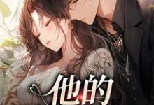 他的蓄意引诱免费阅读,司向淮乌椿大结局无弹窗-黄桃文学
