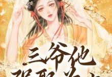 三爷他强娶为上免费阅读，林知意大结局无弹窗-黄桃文学