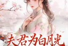 小说夫君为白月光守身如玉?我成全!(宋絮晚季墨阳)最新章节在哪看-黄桃文学
