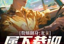 赘婿翻身：龙主，属下恭迎您归位热门小说(叶尘林含雪)在线阅读无弹窗-黄桃文学