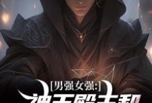 男强女强：神王殿主和女特工闪婚了（林晨叶寒霜）最新章节在线阅读-黄桃文学