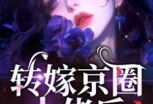 转嫁京圈大佬后,前任悔不当初精彩章节在线免费阅读(苏婉禾司北琛)-黄桃文学