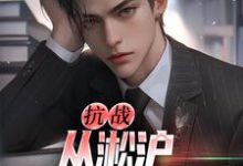 小说抗战:从淞沪保卫战开始(叶青山)最新章节在哪看-黄桃文学