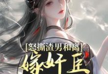 小说怒撕渣男和离，嫁奸臣高攀不起（沈蕴之宋窈窈）最新章节在哪看-黄桃文学