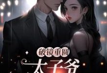 破镜重圆:太子爷他太霸道免费阅读(黎念靳宴深)小说免费读最新章节-黄桃文学