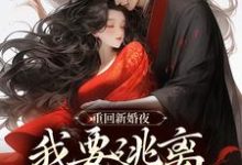 姜晚陆知珩小说免费阅读最新章节列表,重回新婚夜,我要逃离美强惨权臣!小说在线看-黄桃文学