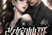 一胎三宝，改嫁帅哥就是宠！免费阅读，林清月傅行舟大结局无弹窗-黄桃文学