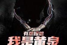 有怨报怨,我是黄泉摆渡人(主角云渺)完结版免费阅读-黄桃文学