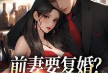 前妻要复婚？我让她跪着滚精彩章节在线免费阅读（赵青峰白晓星）-黄桃文学