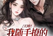 跪求主角是棠芝裴述的小说书名叫什么-黄桃文学