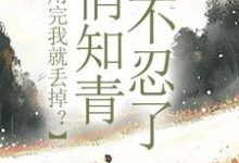 许语嫣叶修远最新章节列表利用完我就丢掉？俏知青她不忍了免费阅读-黄桃文学
