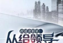 政道贪狼星：从给领导平反开始热门小说(陈诚楚瑜清)在线阅读无弹窗-黄桃文学