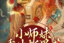 凤锦许墨最新章节小师妹重生撕黑莲，炸翻宗门免费阅读-黄桃文学