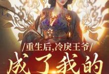 重生后，冷戾王爷成了我的小奶狗（主角云想司空琰）完结版免费阅读-黄桃文学