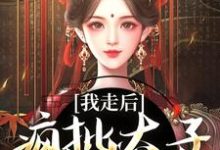 我走后，疯批太子彻底癫了无弹窗沈南枝萧迟最新章节列表-黄桃文学