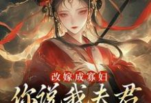 顾逸珩宋芜最新章节改嫁成寡妇,你说我夫君又复活了?免费阅读-黄桃文学