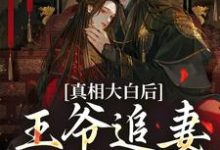 精彩章节阅读真相大白后，王爷追妻火葬场了(萧锦笙鸿枫)免费小说在线看-黄桃文学