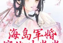跪求主角是沈竹霍锦之的小说书名叫什么-黄桃文学