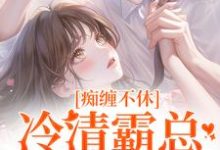 痴缠不休：冷清霸总重拾旧爱热门小说(沈鸯周越)在线阅读无弹窗-黄桃文学