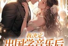 小说我决定出国学音乐后，大律师后悔了主角宋棉贺淮川免费阅读-黄桃文学